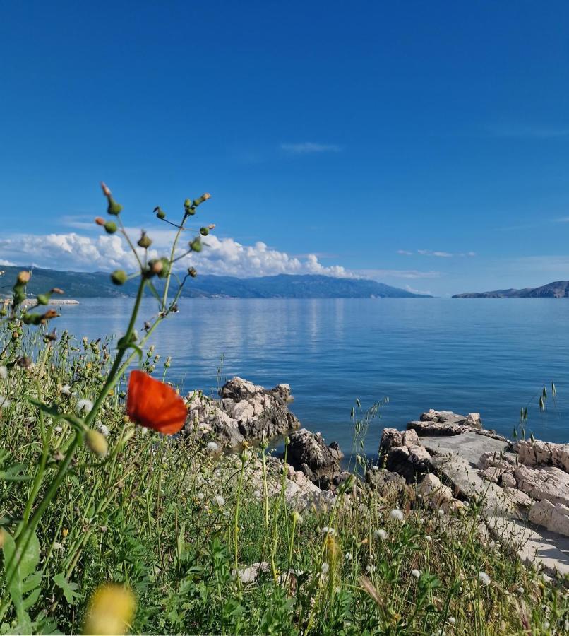Blue Seagull - Seafront Holiday Home Novi Vinodolski Exterior foto